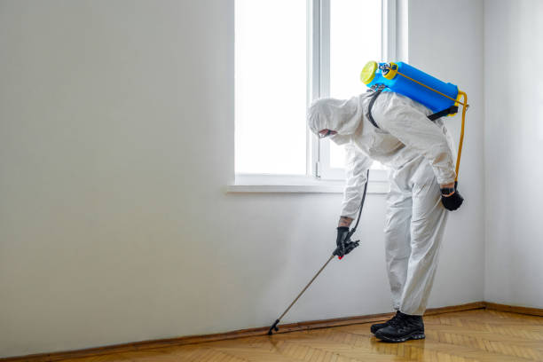 Professional Pest Control in Island City, OR